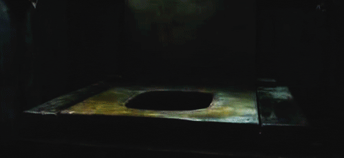 Smaug - dwarf in toilet