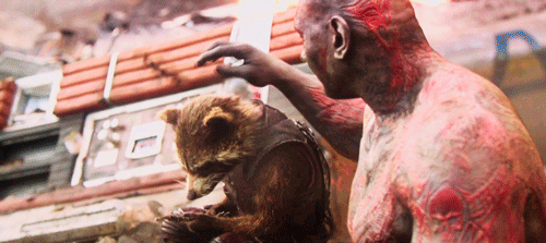 Guardians Drax pets Rocket
