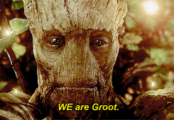 Guardians we are Groot