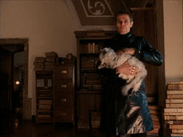 Grand Budapest cat 1