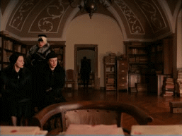 Grand Budapest cat 3