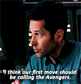 Ant-Man call the Avengers