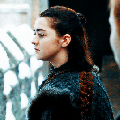 Arya Sansa 1